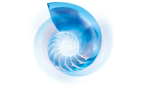 Fotile EA06C 42'' Stainless Steel Island Mount Range Hood